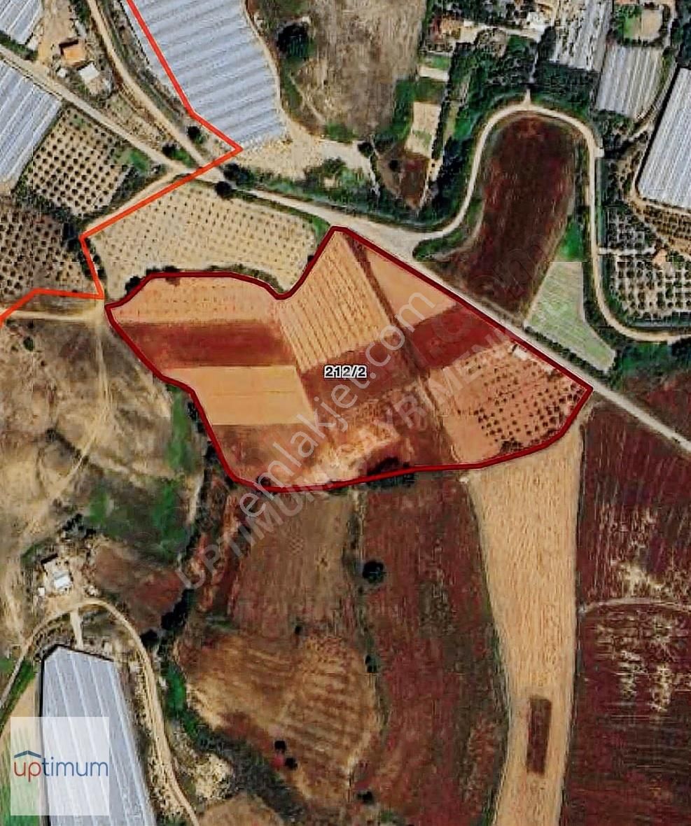 Çenger Mahallesinde Taksim Sözleşmeli Fırsat Tarlamız Satışta