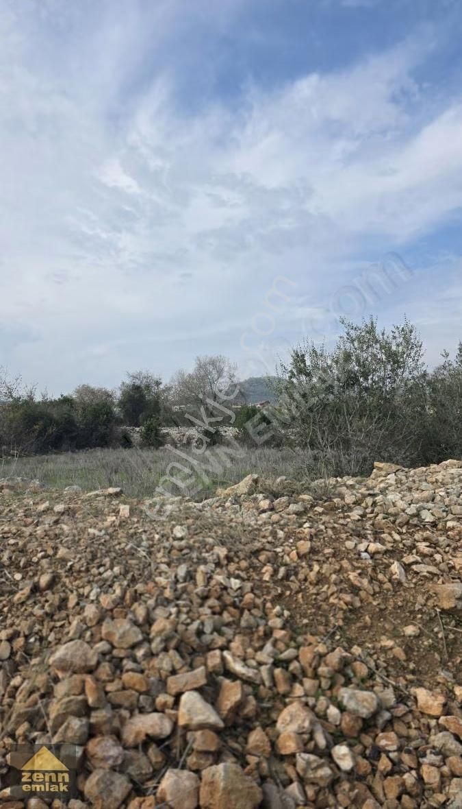 Mersin Erdemli De Satılık 1191 M2 Arazi - Görsel 12