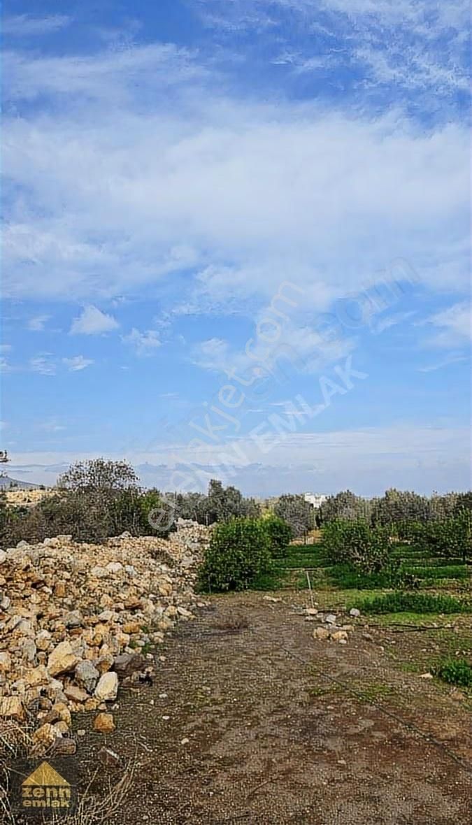 Mersin Erdemli De Satılık 1191 M2 Arazi - Görsel 8