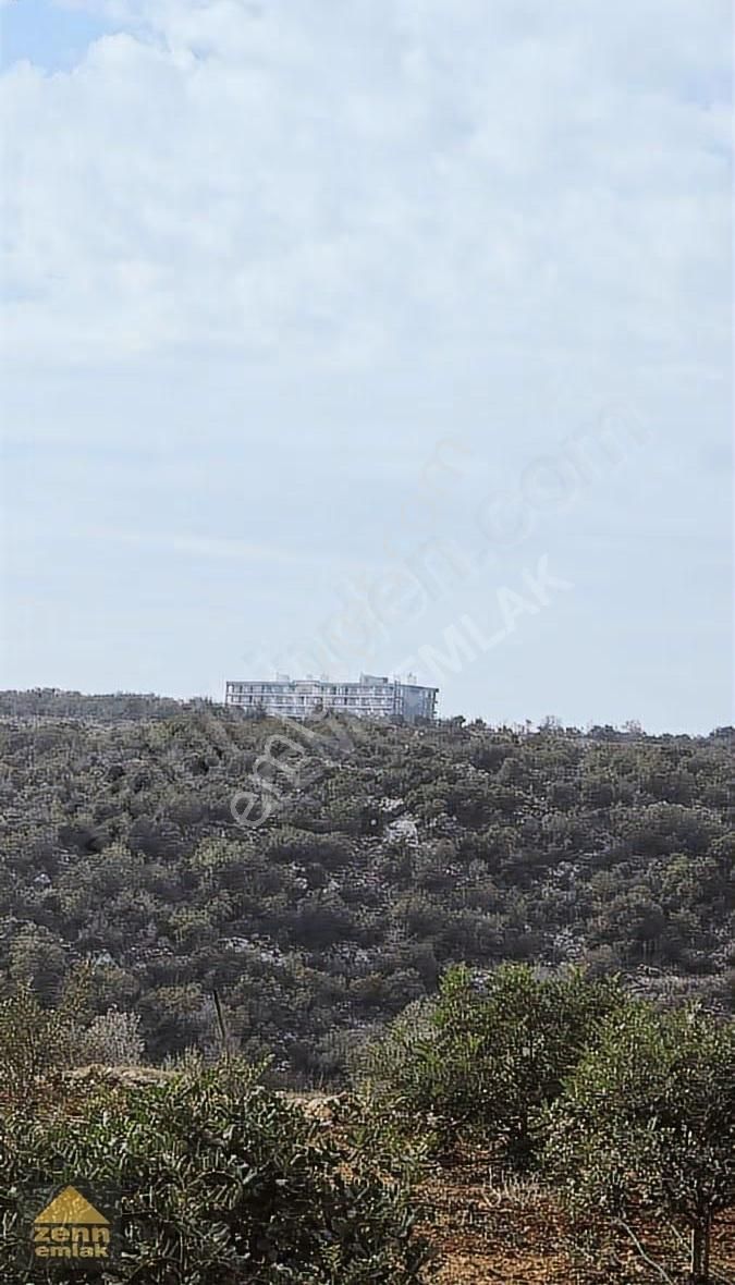 Mersin Erdemli De Satılık 1191 M2 Arazi - Görsel 4