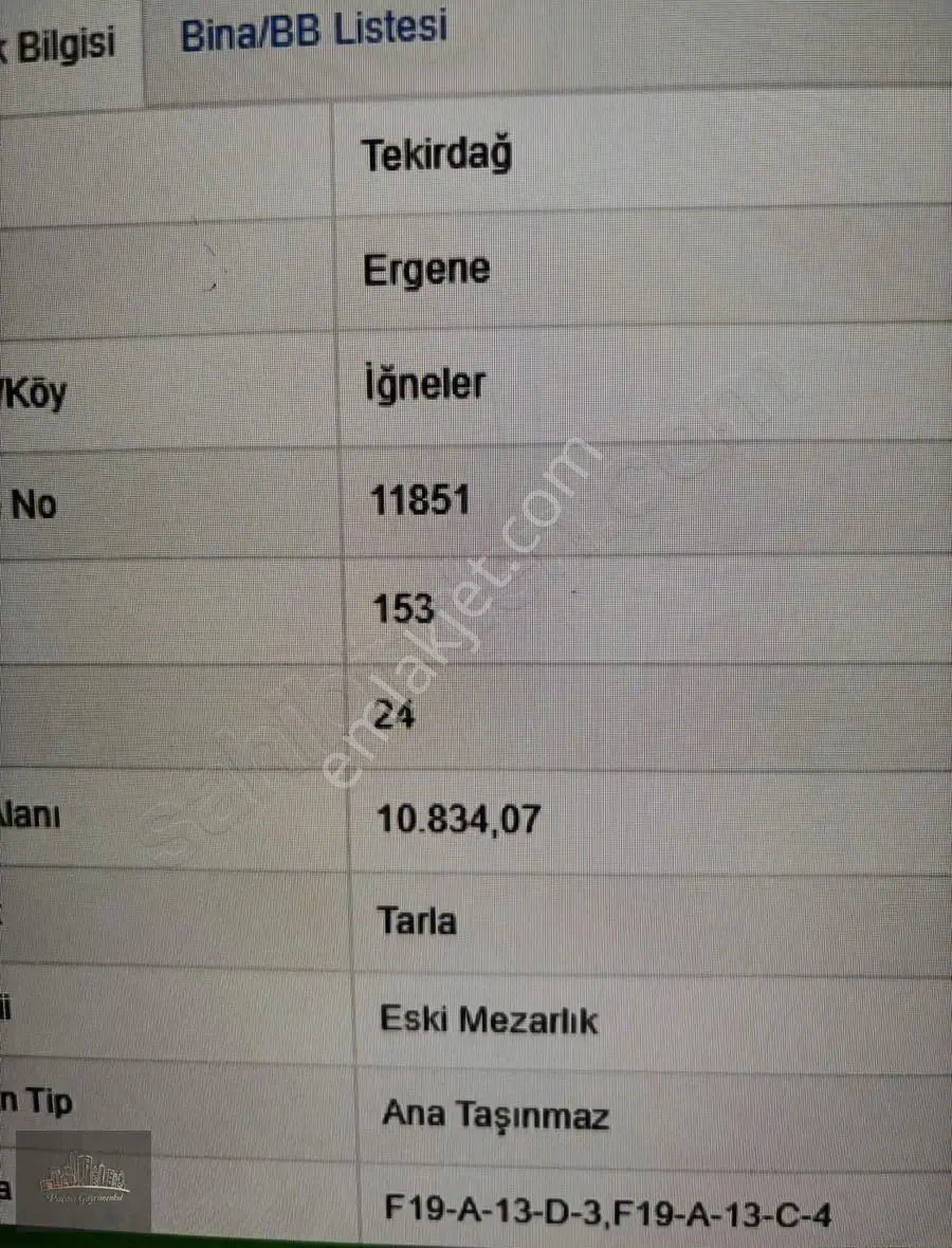 Ergene İğneler Satılık Tarla 11000 M2 - Görsel 2