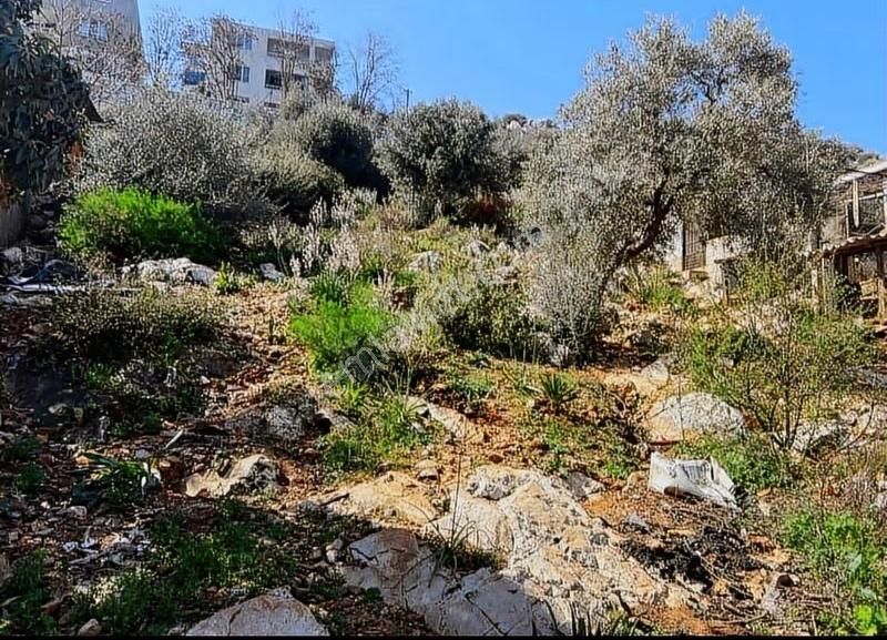 Yıldırım Mühendislik'ten İsmetpaşa Mahallesi Konut İmarlı Arsa - Görsel 5
