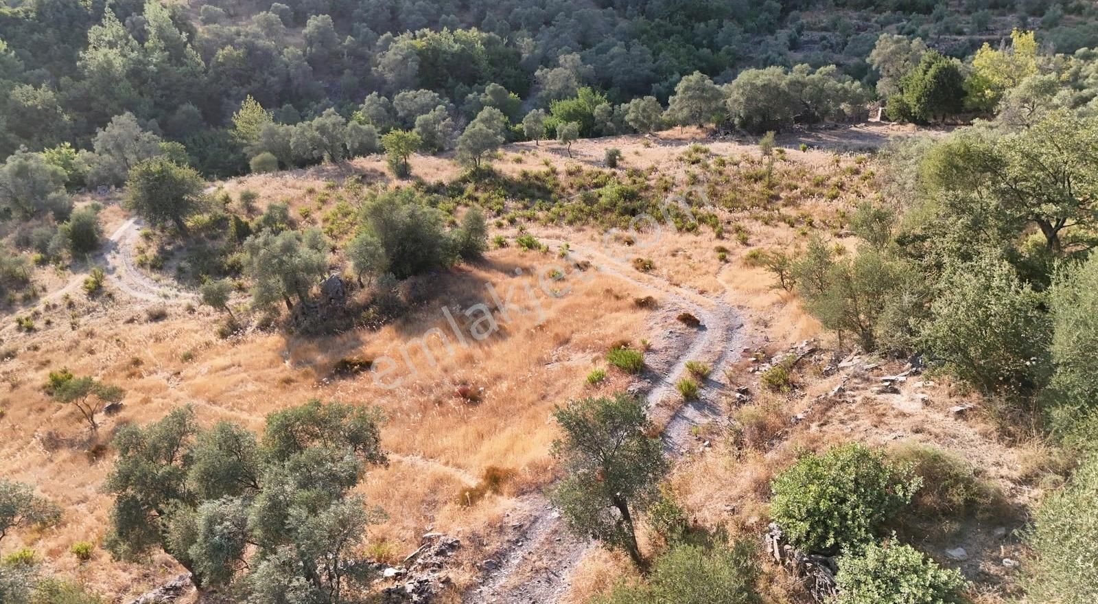 Yıldırım Mühendislik'ten Ören / Bayır Mah." 2.300 M2 "zeytinlik - Görsel 3