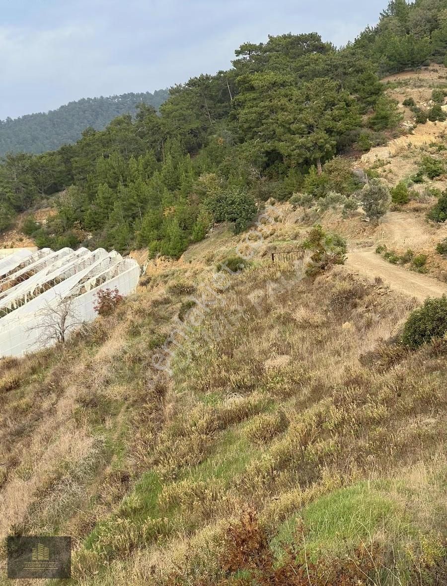 Full Deniz Manzaralı Sorunsuz - Görsel 3