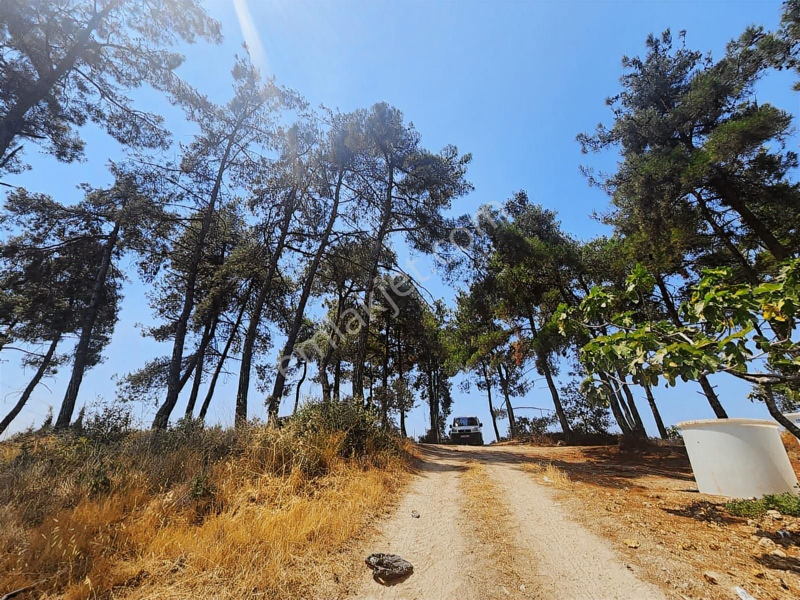 Gündoğduda Manzaralı Değerli Yatırımlık Tek Tapu Arazi - Görsel 7