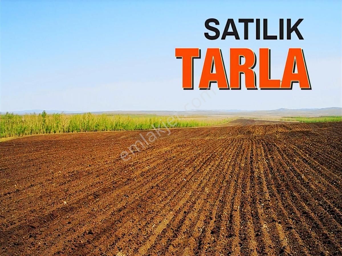 Satılık Tek Tapu Tarla - Görsel 11