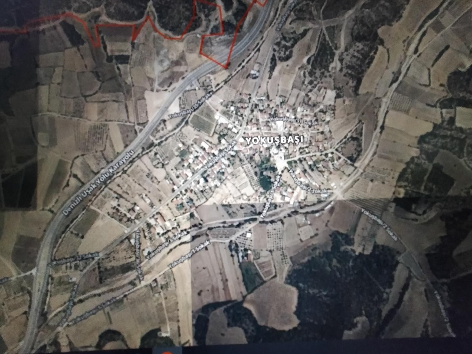 Honaz Yokuşbaşında 5000m2 Hazır Dikili Zeytinlik - Görsel 3