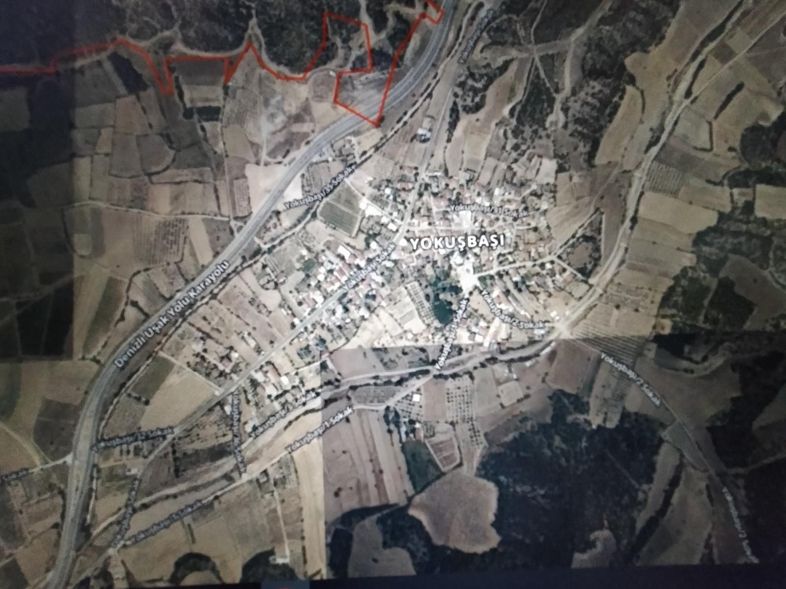 Honaz Yokuşbaşında 5000m2 Hazır Dikili Zeytinlik - Görsel 5