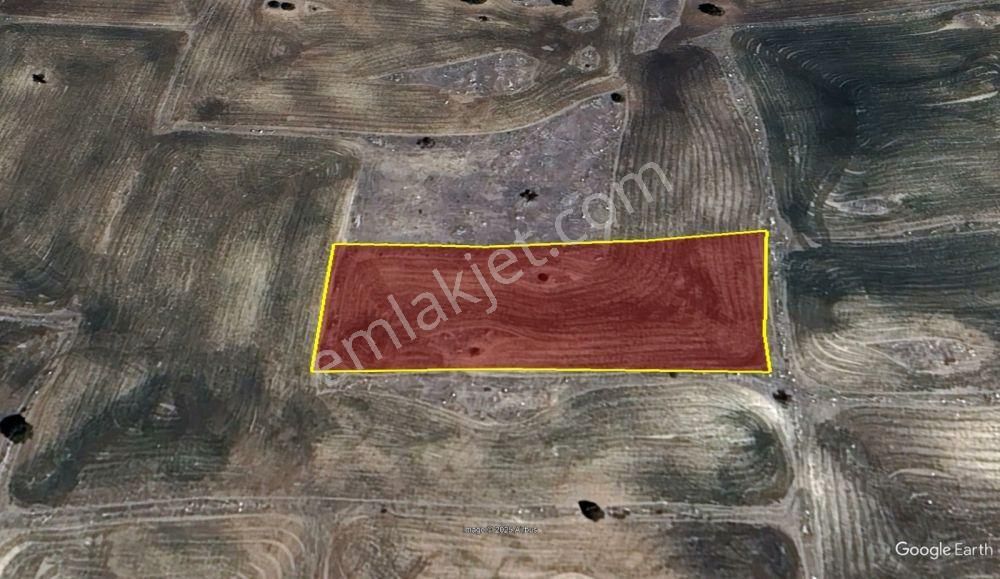 Konya / Meram / Karadiğin Mahallesinde 3.200 M² Müstakil Tapulu Tarla - Görsel 5
