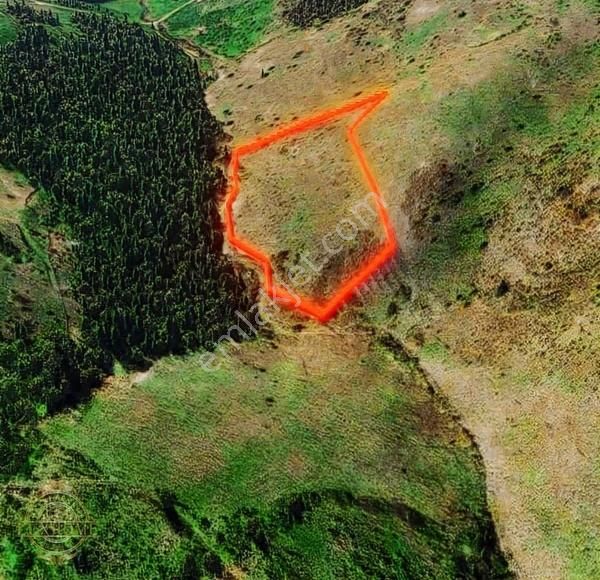 Sakarya Geyvede Ev Yapımına Uygun Satılık Tarla - Görsel 10