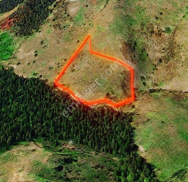 Sakarya Geyvede Ev Yapımına Uygun Satılık Tarla - Görsel 3