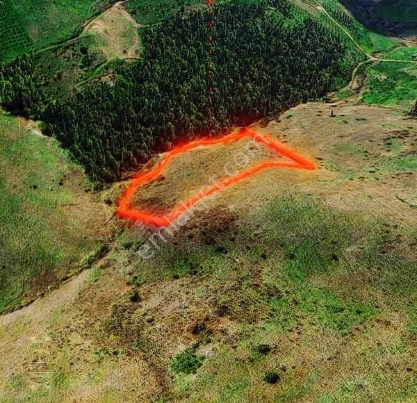 Sakarya Geyvede Ev Yapımına Uygun Satılık Tarla - Görsel 7