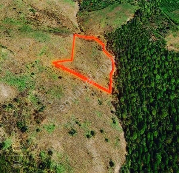 Sakarya Geyvede Ev Yapımına Uygun Satılık Tarla - Görsel 11