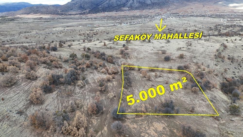 Konya / Meram / Sefaköy Harmancık Mahallesinde 5.000 M² Müstakil Tapulu Tarla