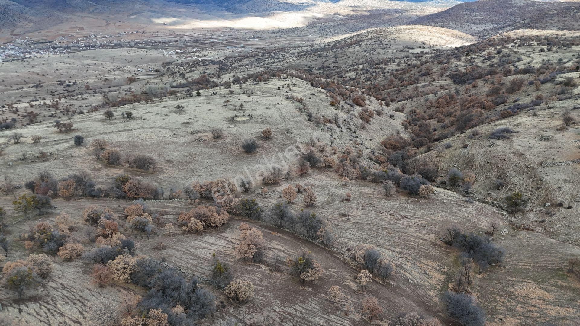Konya / Meram / Sefaköy Harmancık Mahallesinde 5.000 M² Müstakil Tapulu Tarla - Görsel 2