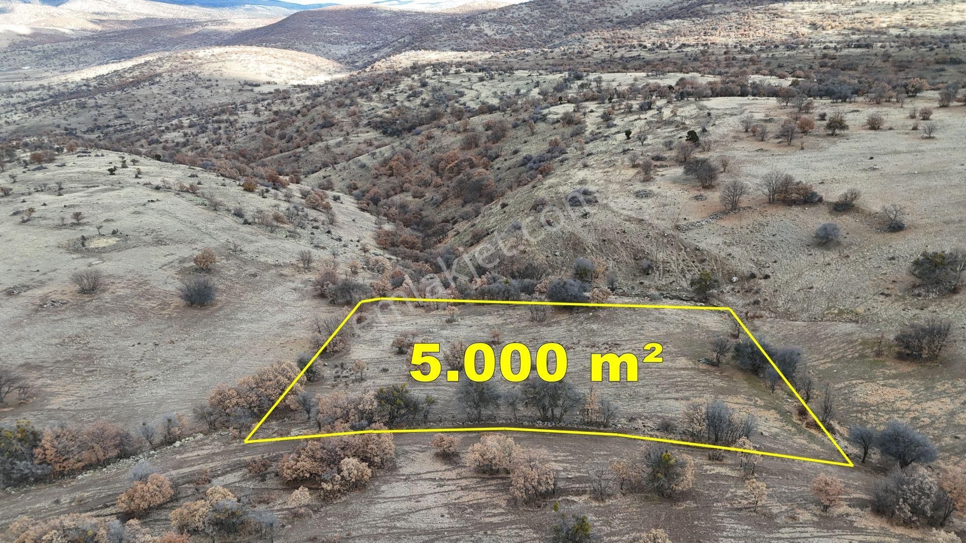 Konya / Meram / Sefaköy Harmancık Mahallesinde 5.000 M² Müstakil Tapulu Tarla - Görsel 5