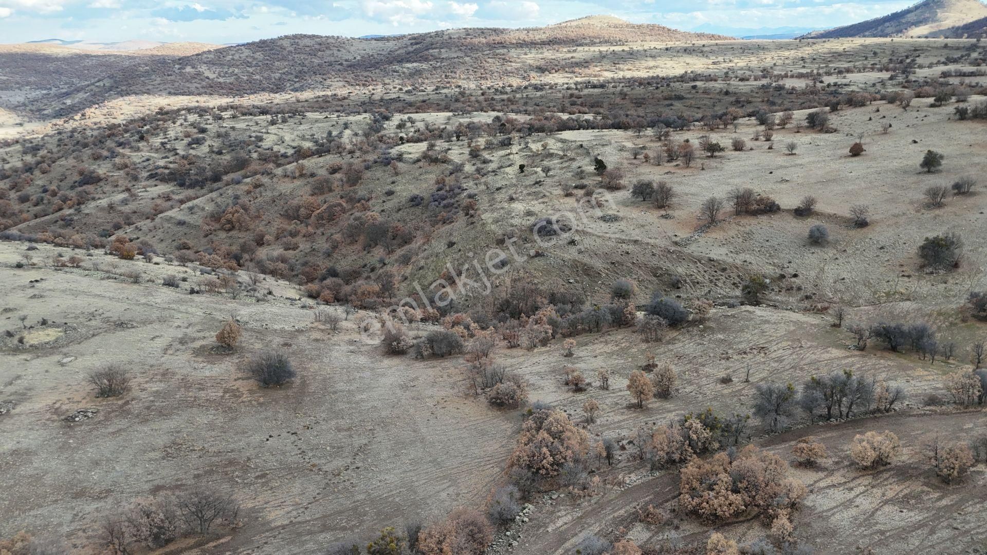 Konya / Meram / Sefaköy Harmancık Mahallesinde 5.000 M² Müstakil Tapulu Tarla - Görsel 3