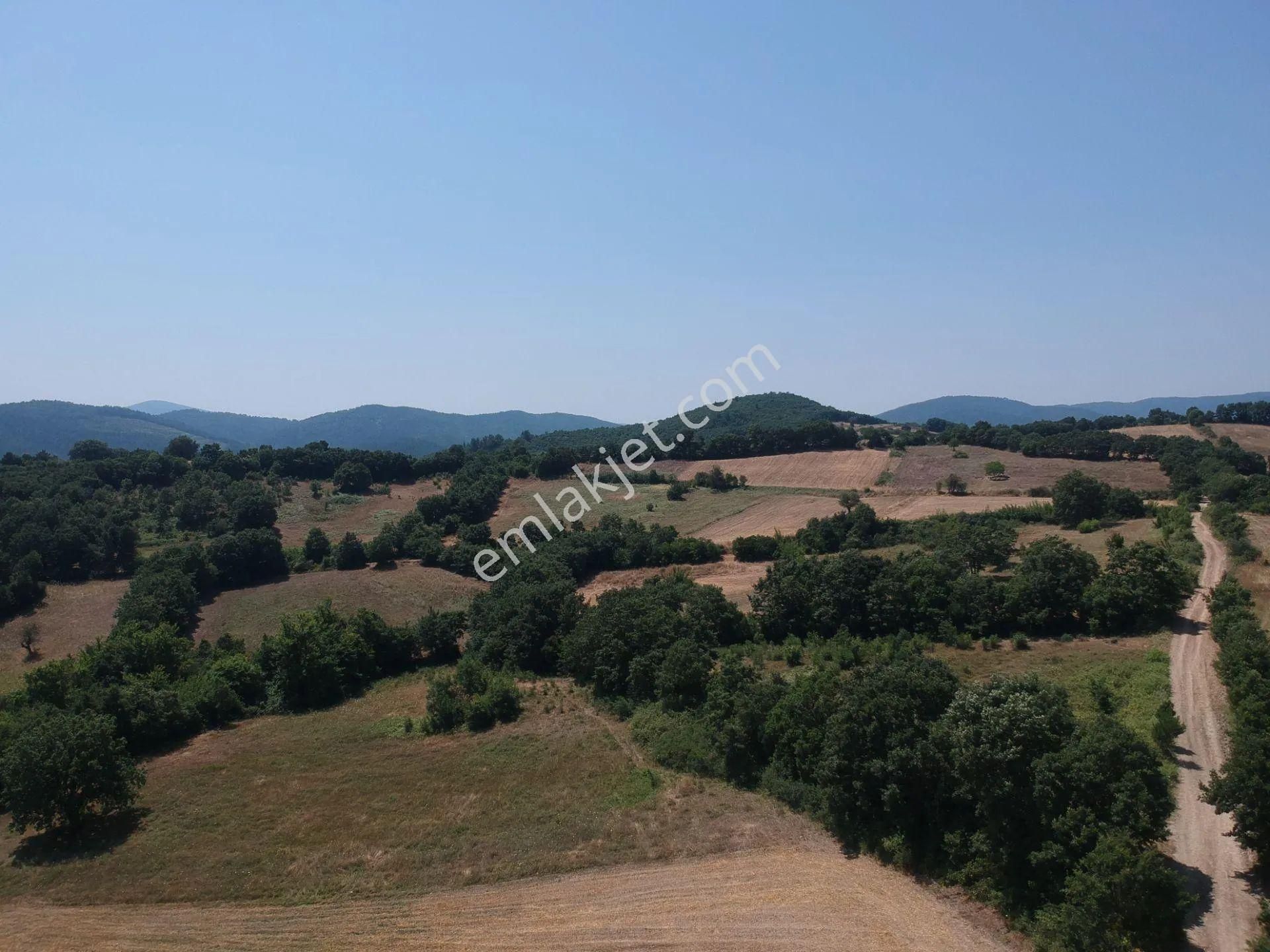 Acil Sahibinden Satılık , Ekili , Yola Cepheli, Takasa Uygun Tarla ! - Görsel 9