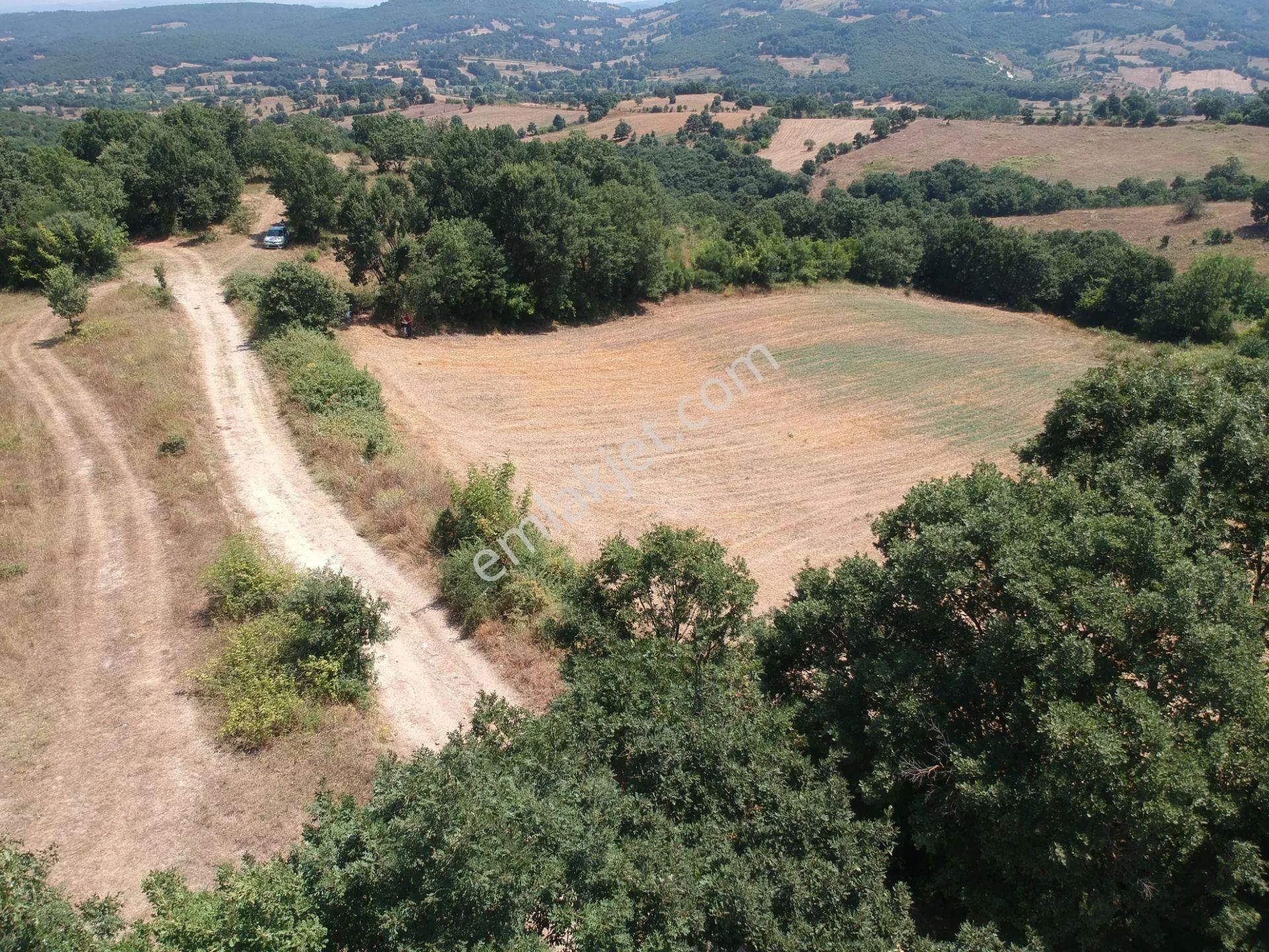 Acil Sahibinden Satılık , Ekili , Yola Cepheli, Takasa Uygun Tarla !