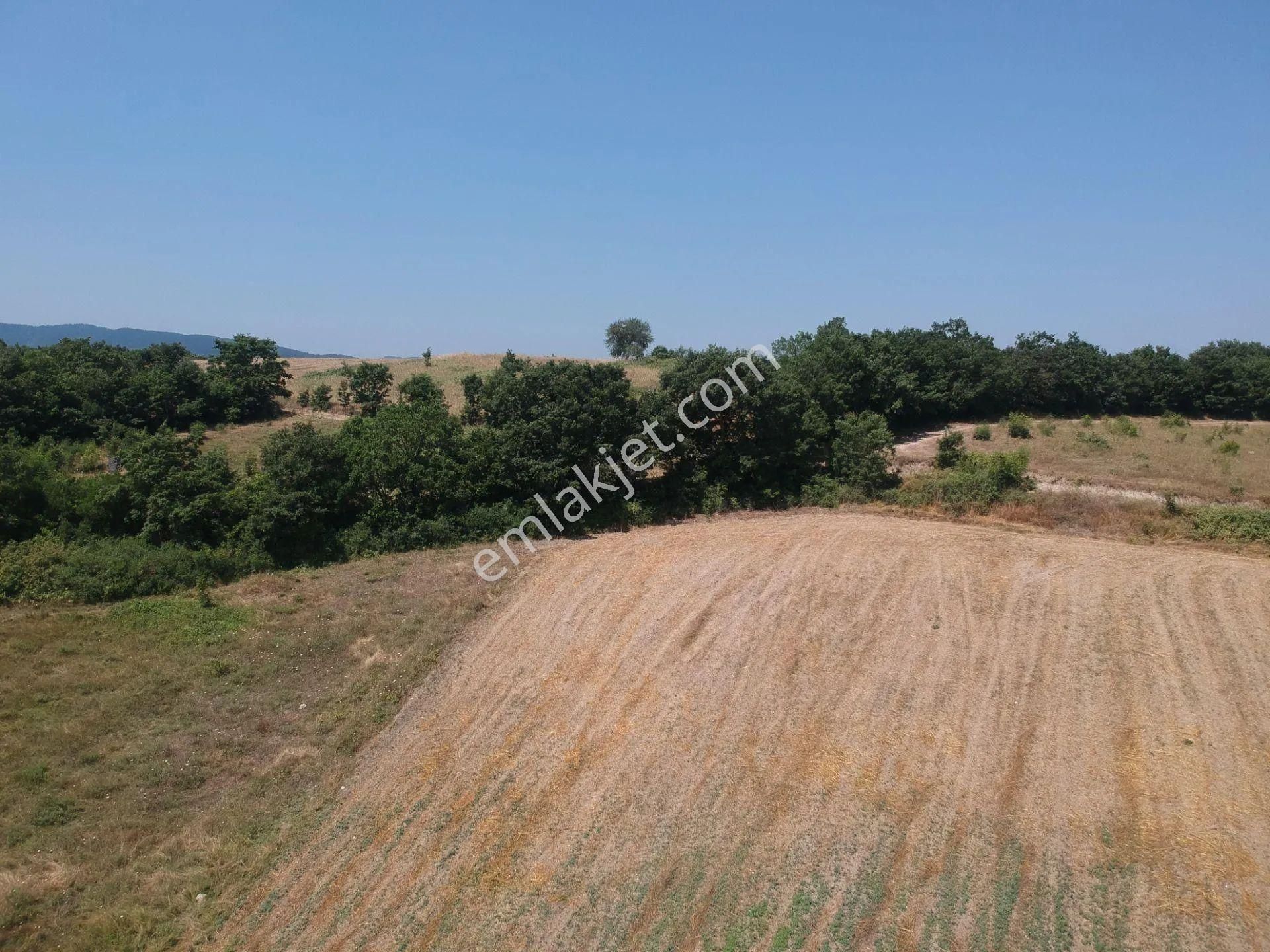 Acil Sahibinden Satılık , Ekili , Yola Cepheli, Takasa Uygun Tarla ! - Görsel 2