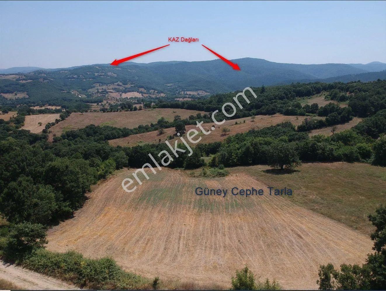Acil Sahibinden Satılık , Ekili , Yola Cepheli, Takasa Uygun Tarla ! - Görsel 14
