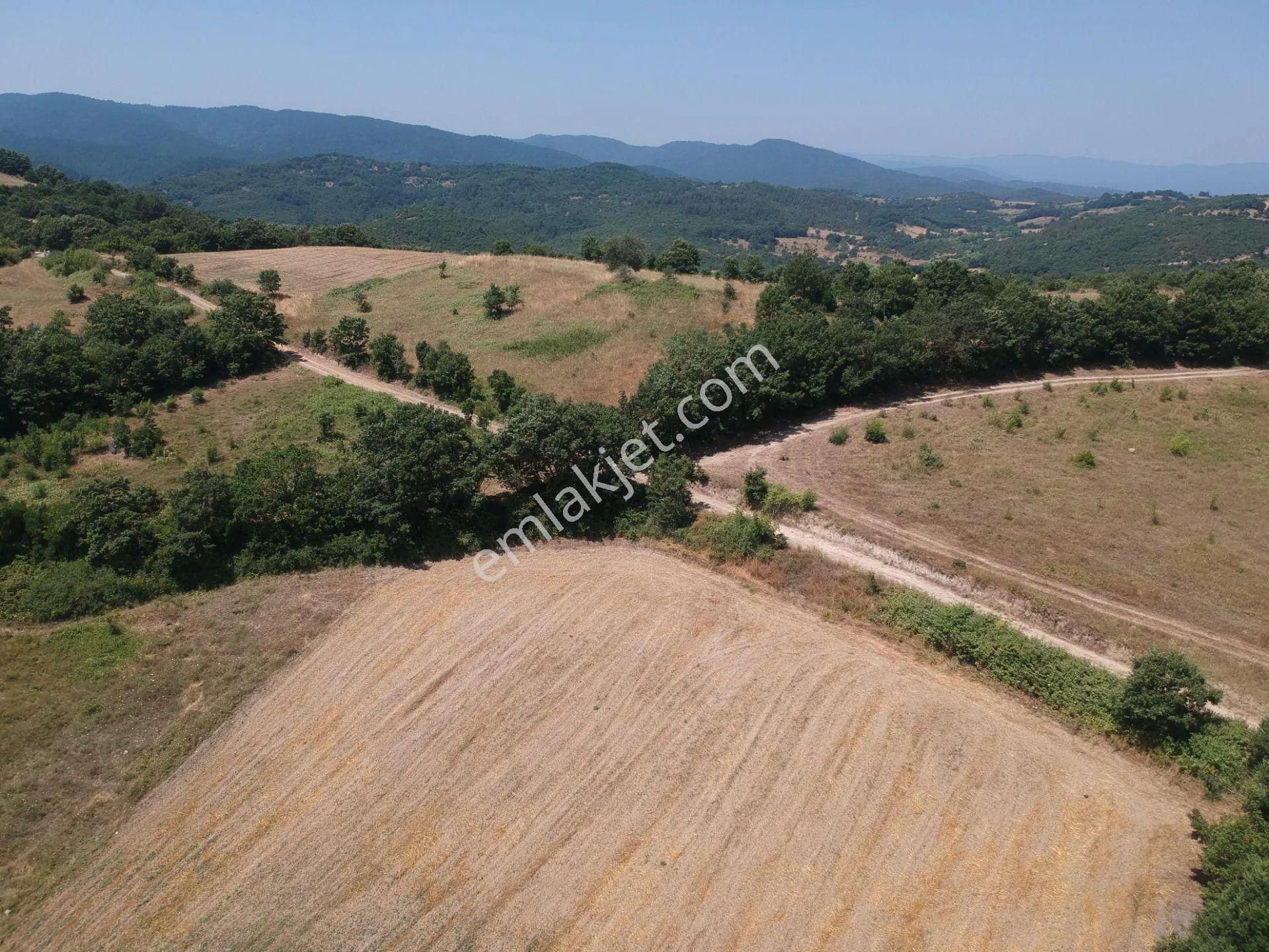Acil Sahibinden Satılık , Ekili , Yola Cepheli, Takasa Uygun Tarla ! - Görsel 22