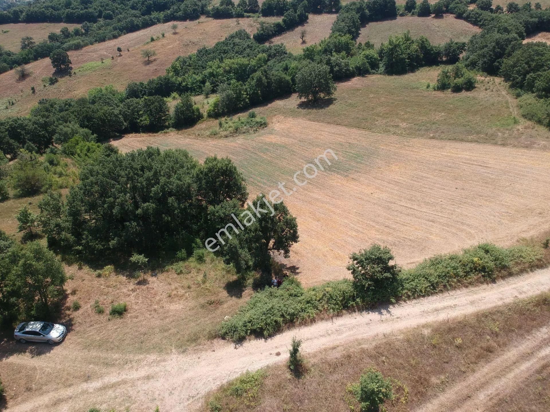 Acil Sahibinden Satılık , Ekili , Yola Cepheli, Takasa Uygun Tarla ! - Görsel 8