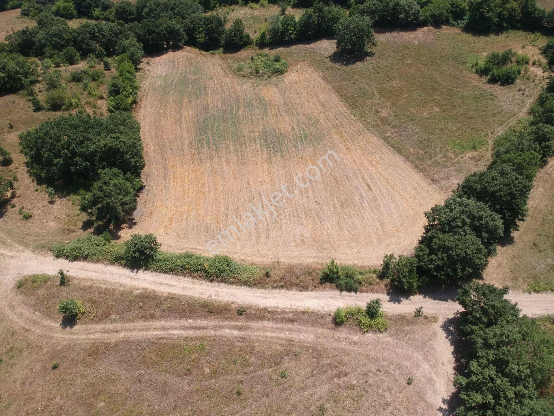 Acil Sahibinden Satılık , Ekili , Yola Cepheli, Takasa Uygun Tarla ! - Görsel 18