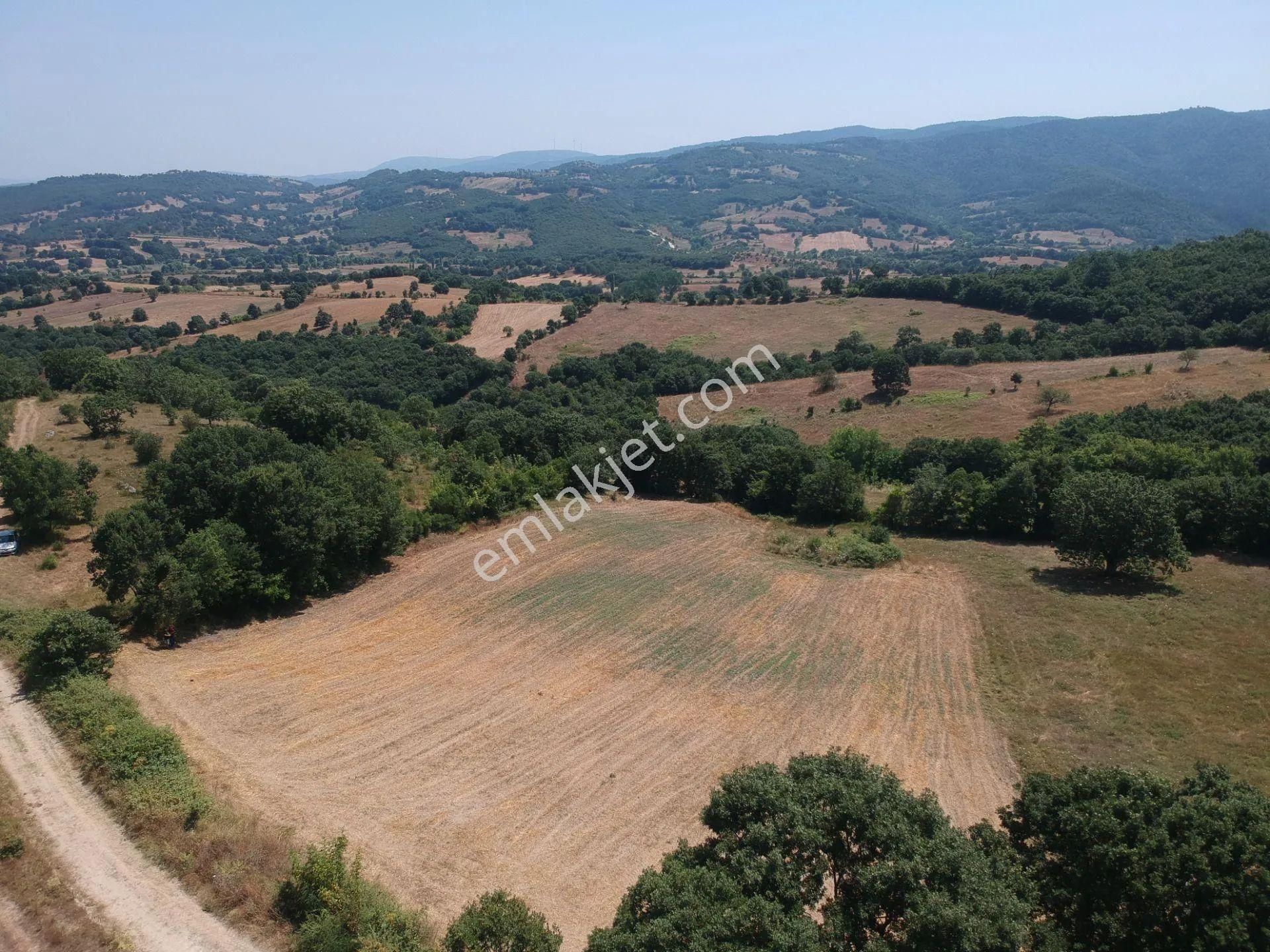 Acil Sahibinden Satılık , Ekili , Yola Cepheli, Takasa Uygun Tarla ! - Görsel 4