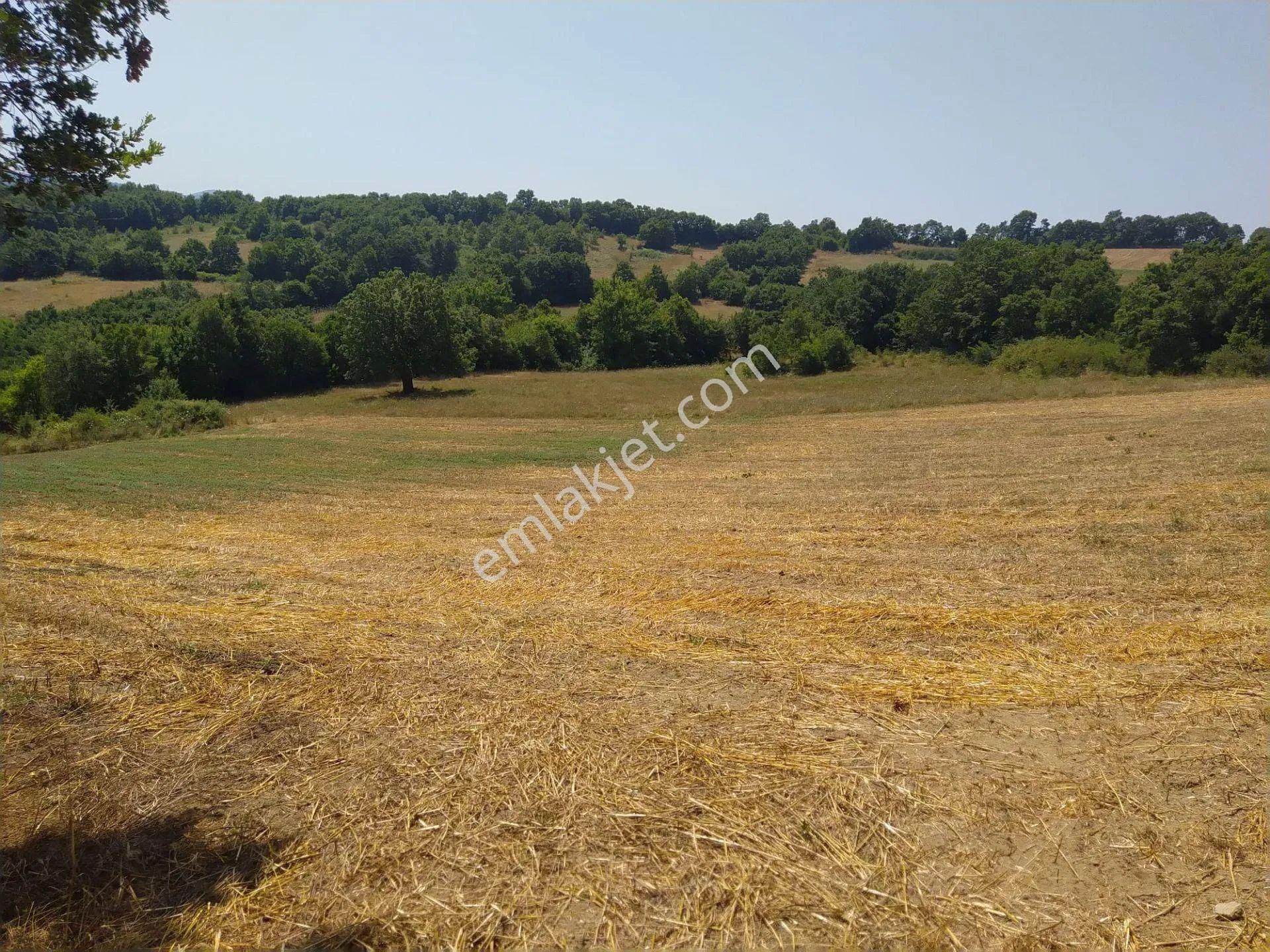 Acil Sahibinden Satılık , Ekili , Yola Cepheli, Takasa Uygun Tarla ! - Görsel 20