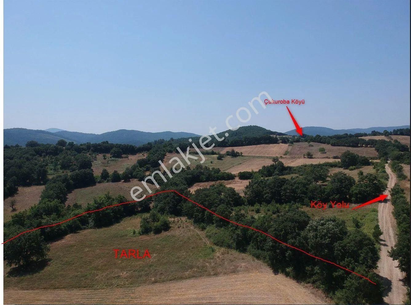 Acil Sahibinden Satılık , Ekili , Yola Cepheli, Takasa Uygun Tarla ! - Görsel 15