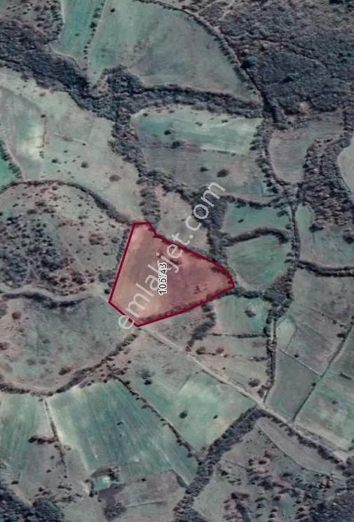 Acil Sahibinden Satılık , Ekili , Yola Cepheli, Takasa Uygun Tarla ! - Görsel 11