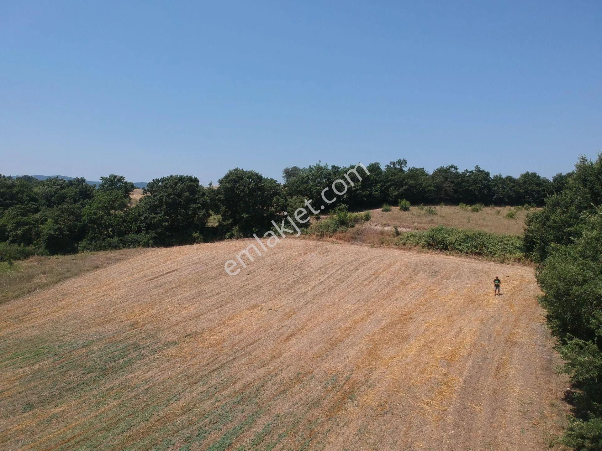 Acil Sahibinden Satılık , Ekili , Yola Cepheli, Takasa Uygun Tarla ! - Görsel 10