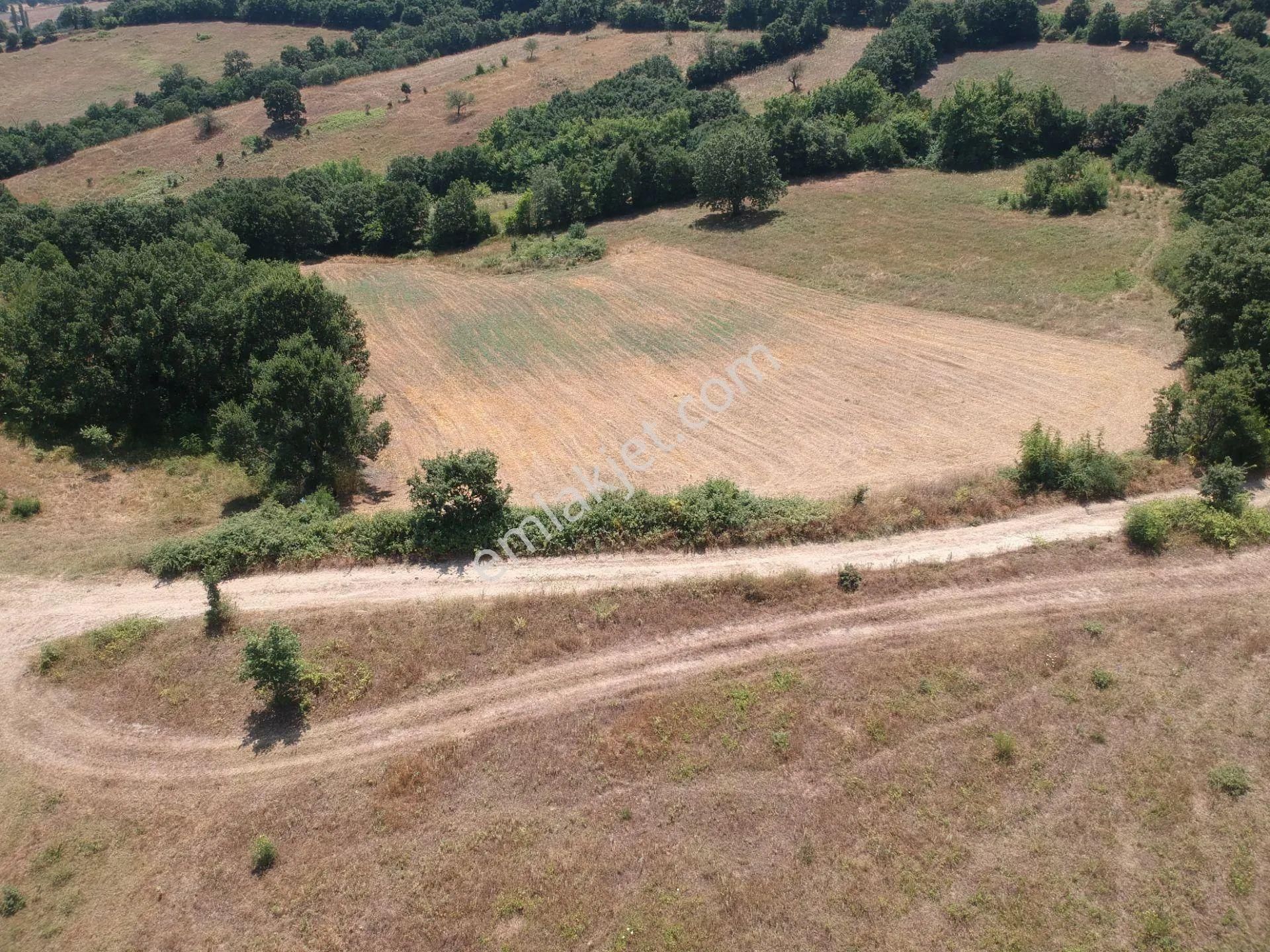 Acil Sahibinden Satılık , Ekili , Yola Cepheli, Takasa Uygun Tarla ! - Görsel 6