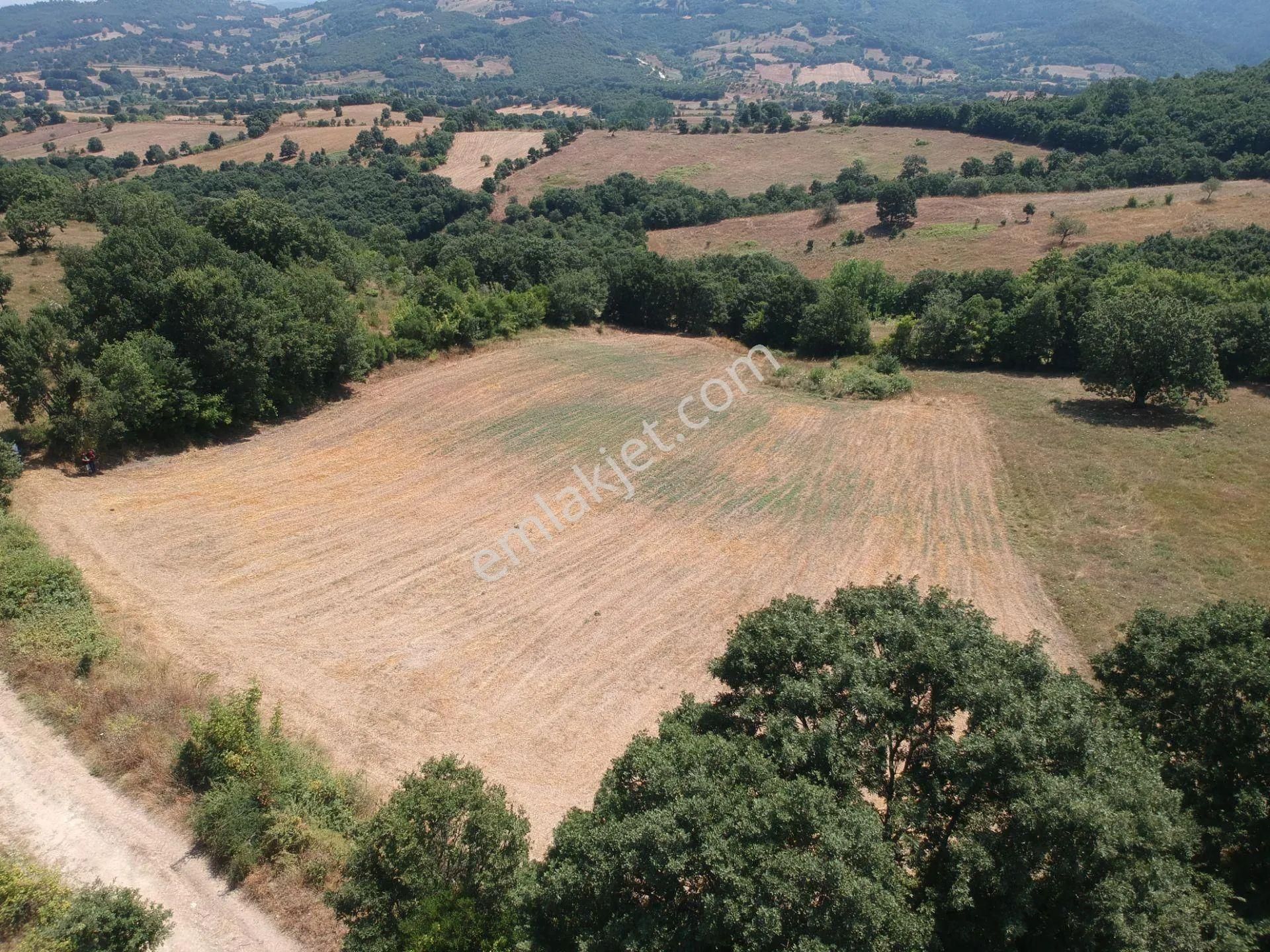 Acil Sahibinden Satılık , Ekili , Yola Cepheli, Takasa Uygun Tarla ! - Görsel 21