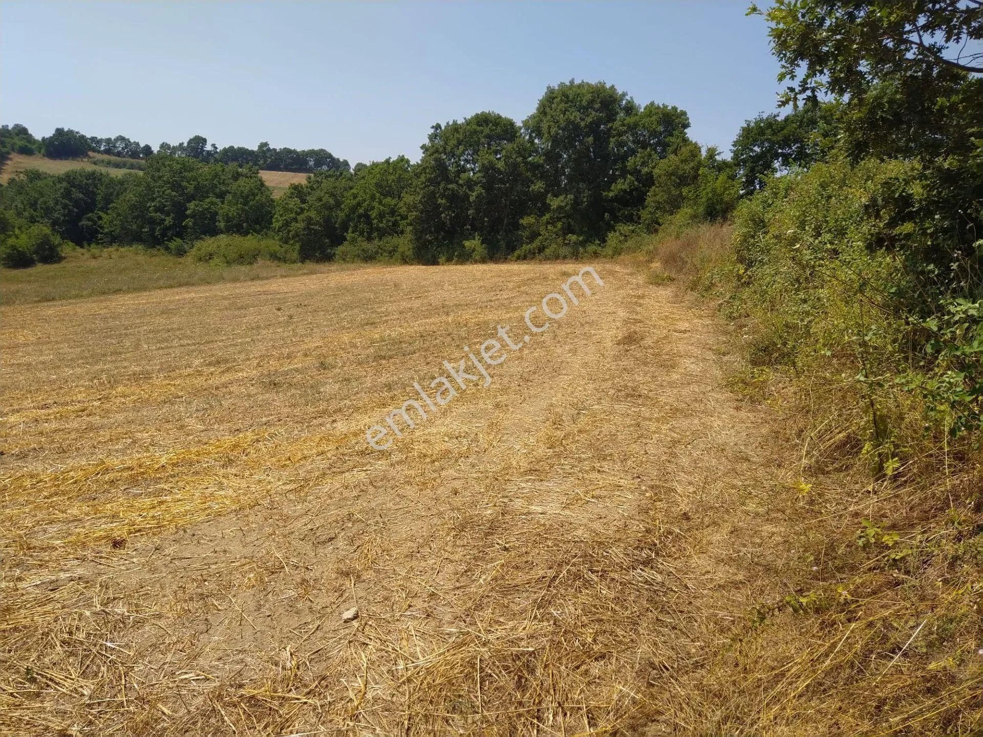 Acil Sahibinden Satılık , Ekili , Yola Cepheli, Takasa Uygun Tarla ! - Görsel 16