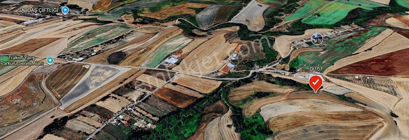 Çorlu Şahpaz'da 6.650 M² Kadastral Yola Cephe Yatırımlık Tarla - Görsel 3