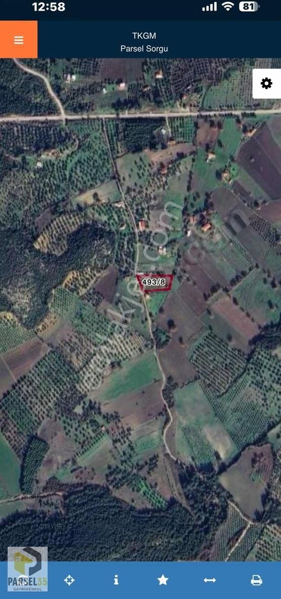 Bergama Zeytindağ Da Satılık 2765m2 Bahçe - Görsel 8