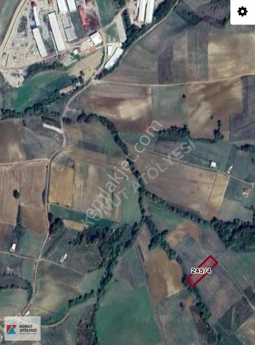 Kocaeli Derince Çavuşlu Elektrik Su Yakınında Kupon Fırsat Tarla