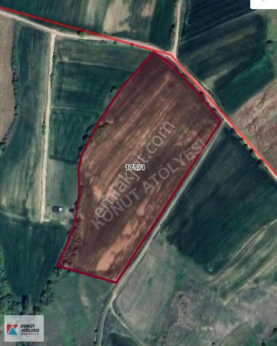 Kocaeli Derince Kaşıkçıda Tek Tapu 31.339 M2 Tarla - Görsel 6