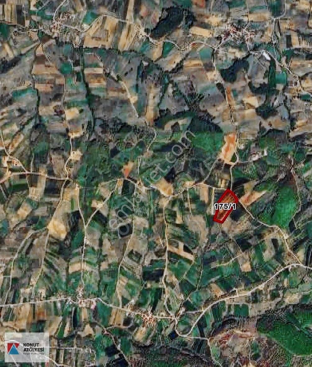 Kocaeli Derince Kaşıkçıda Tek Tapu 31.339 M2 Tarla - Görsel 3