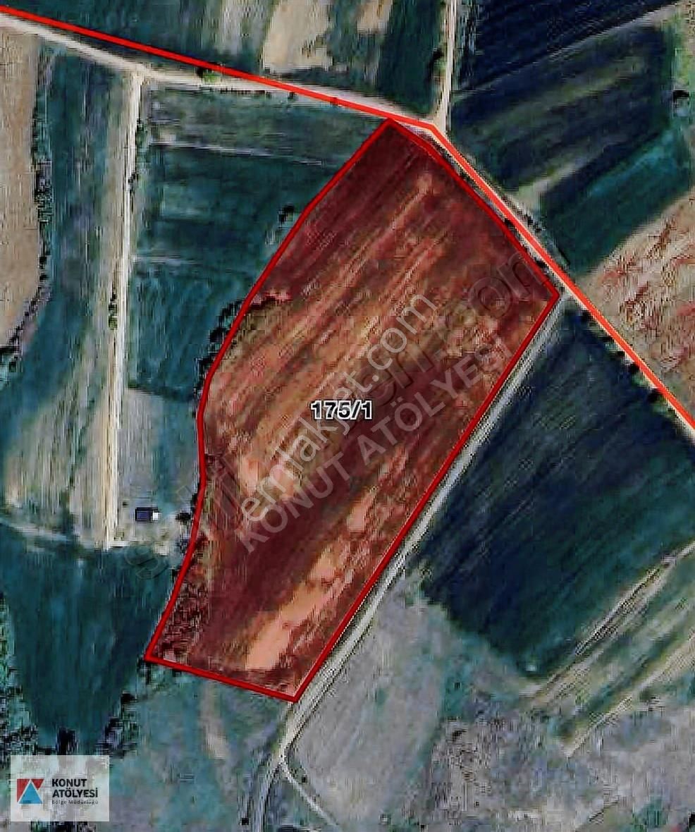 Kocaeli Derince Kaşıkçıda Tek Tapu 31.339 M2 Tarla - Görsel 4