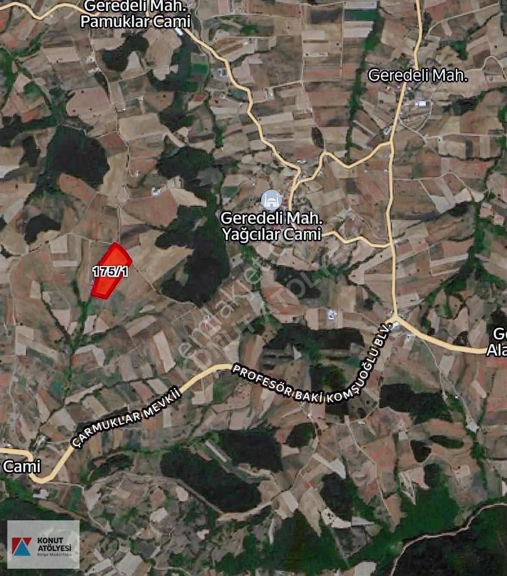 Kocaeli Derince Kaşıkçıda Tek Tapu 31.339 M2 Tarla - Görsel 2