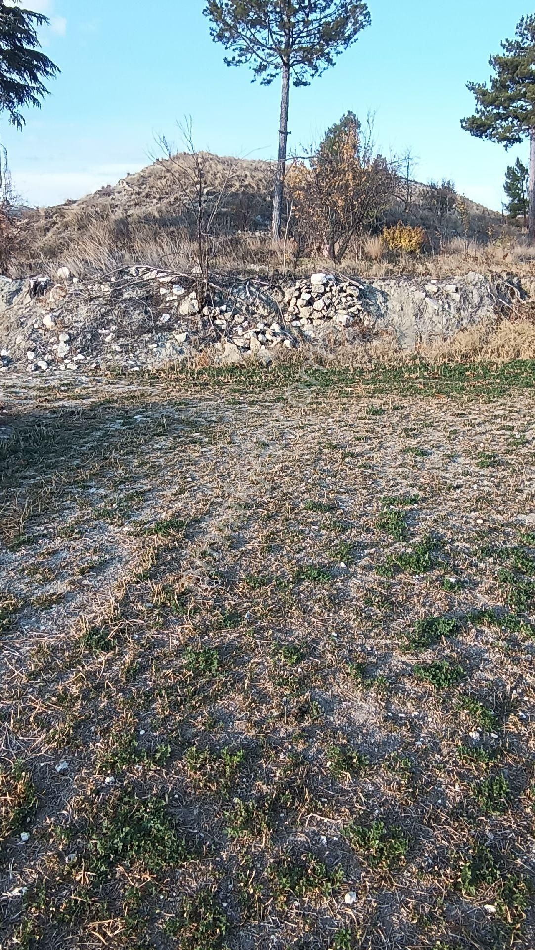 Wisrem Burdur'dan Elmacık Köyünde Satılık Köy İçi Bahçe - Görsel 3