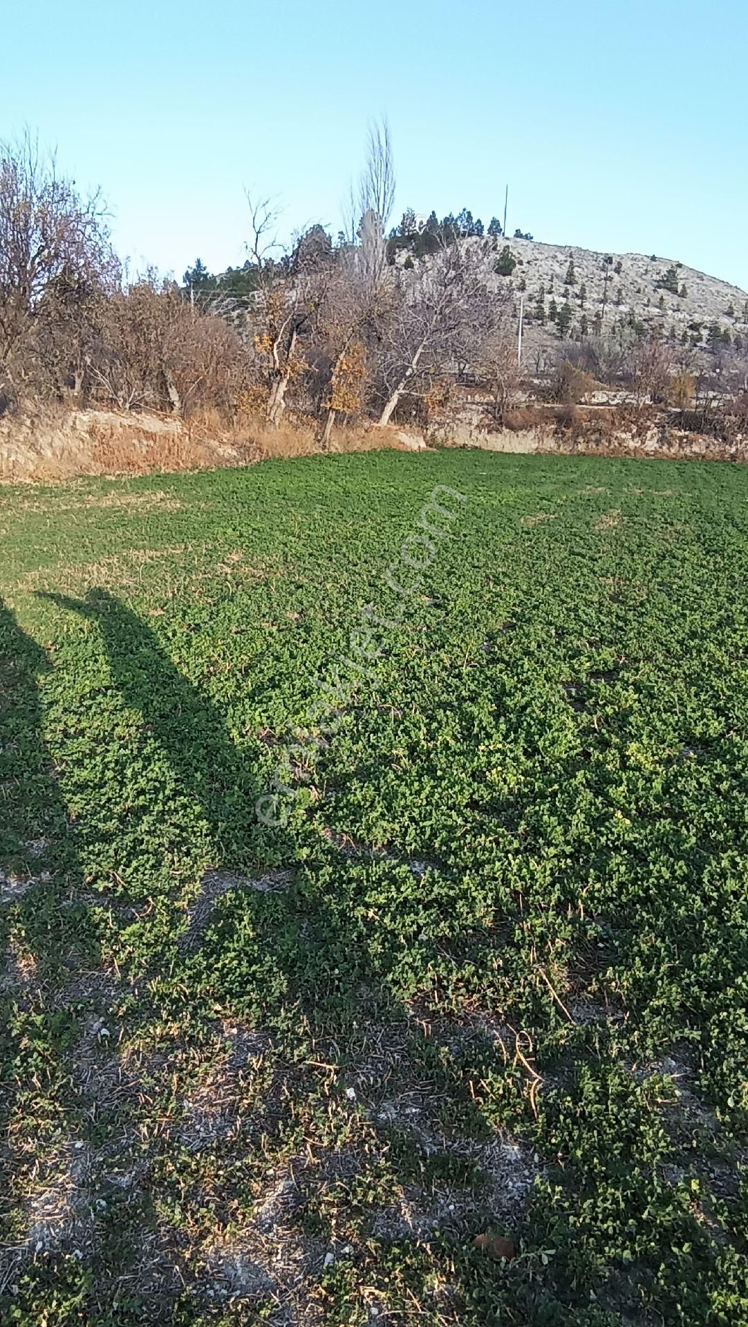 Wisrem Burdur'dan Elmacık Köyünde Satılık Köy İçi Bahçe - Görsel 2