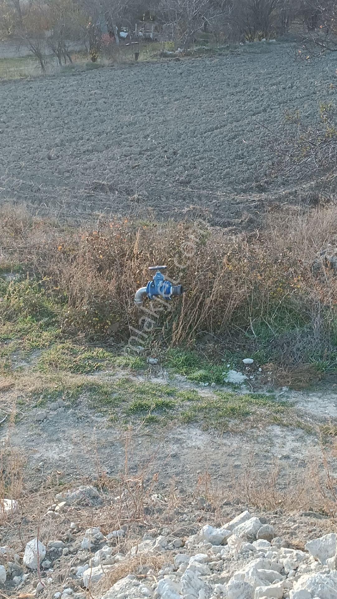 Wisrem Burdur'dan Elmacık Köyünde Satılık Köy İçi Bahçe - Görsel 4