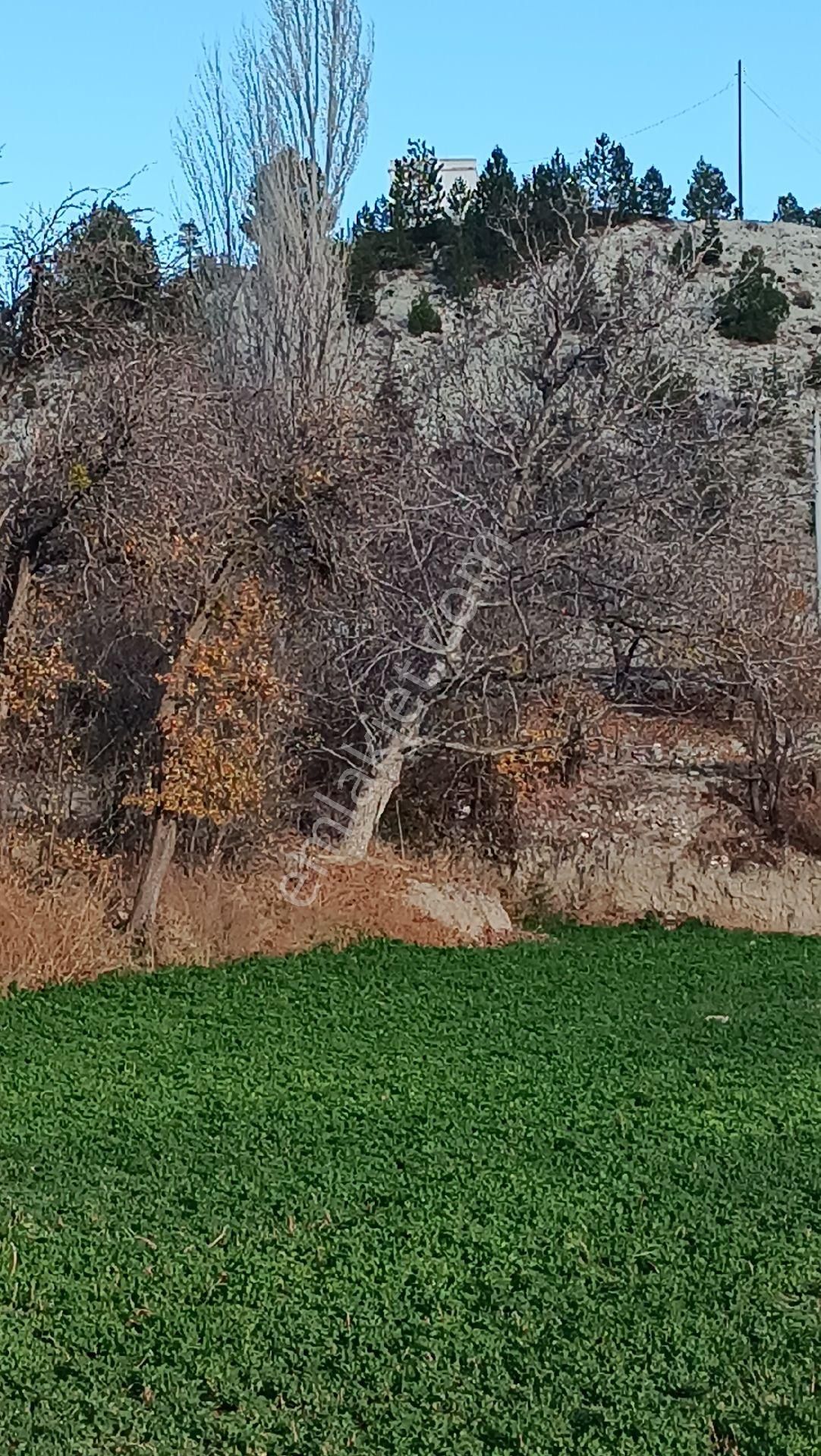 Wisrem Burdur'dan Elmacık Köyünde Satılık Köy İçi Bahçe