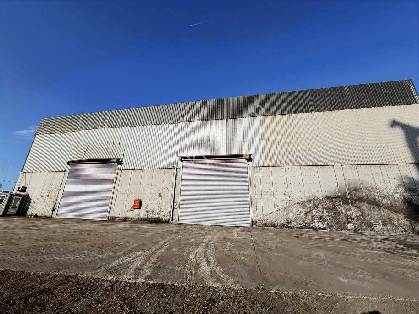 Tekkeköy Lojistik Bölgesinde Kiralık Hazır Kurulu Düzen Depo - Görsel 17