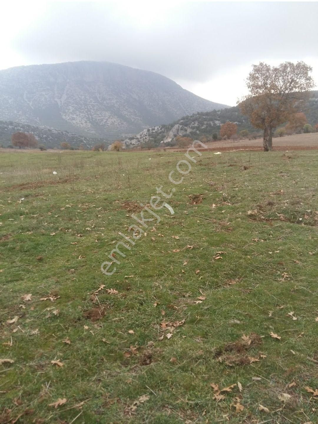 Wisrem Gayrimenkul Burdur'dan Satılık 5.300 M² Tarla - Görsel 4