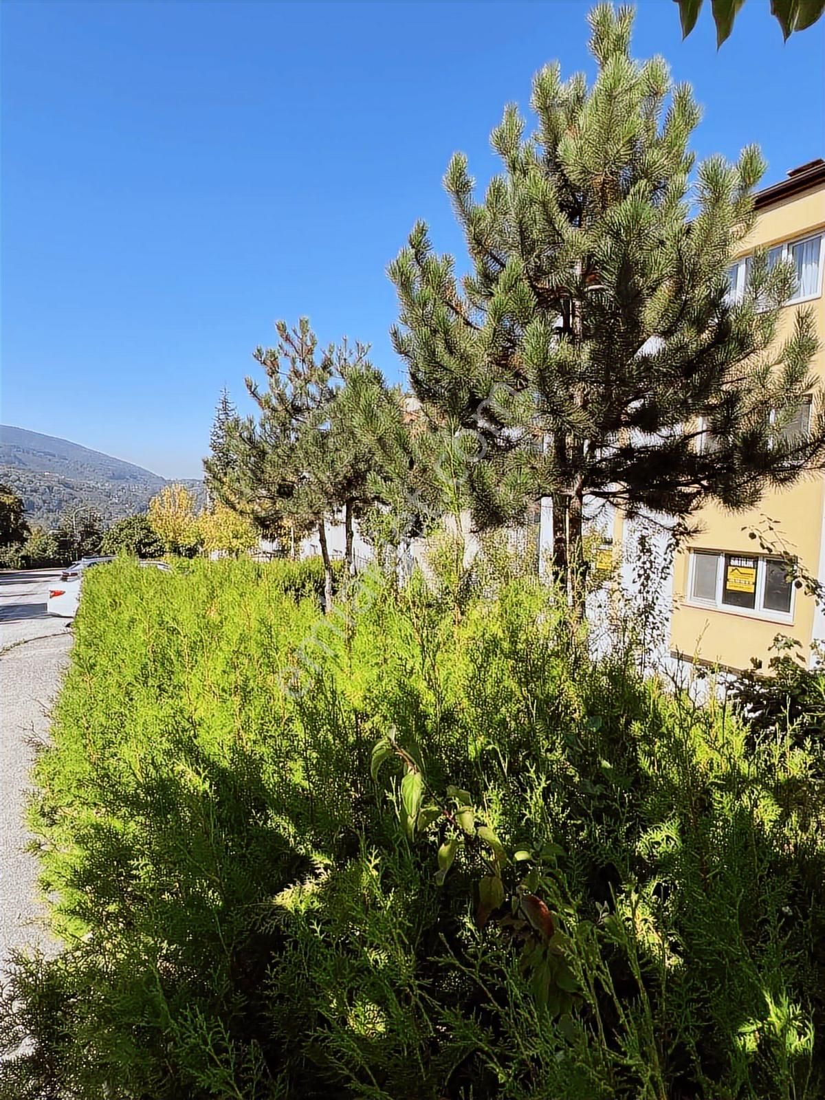 Ruşen Aydın Gyd'dan Kaynaşlı Kalıcı Konutlarda Satılık 3+1 Daire - Görsel 26